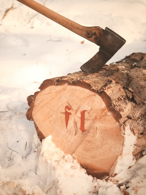 ����`���v�p���c�тт��Ă����ǔ����Ă悩�����`